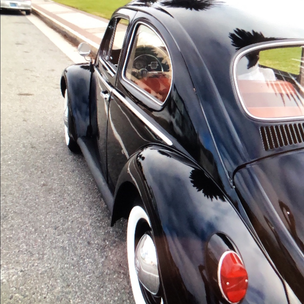 Meet your Posher, Martin